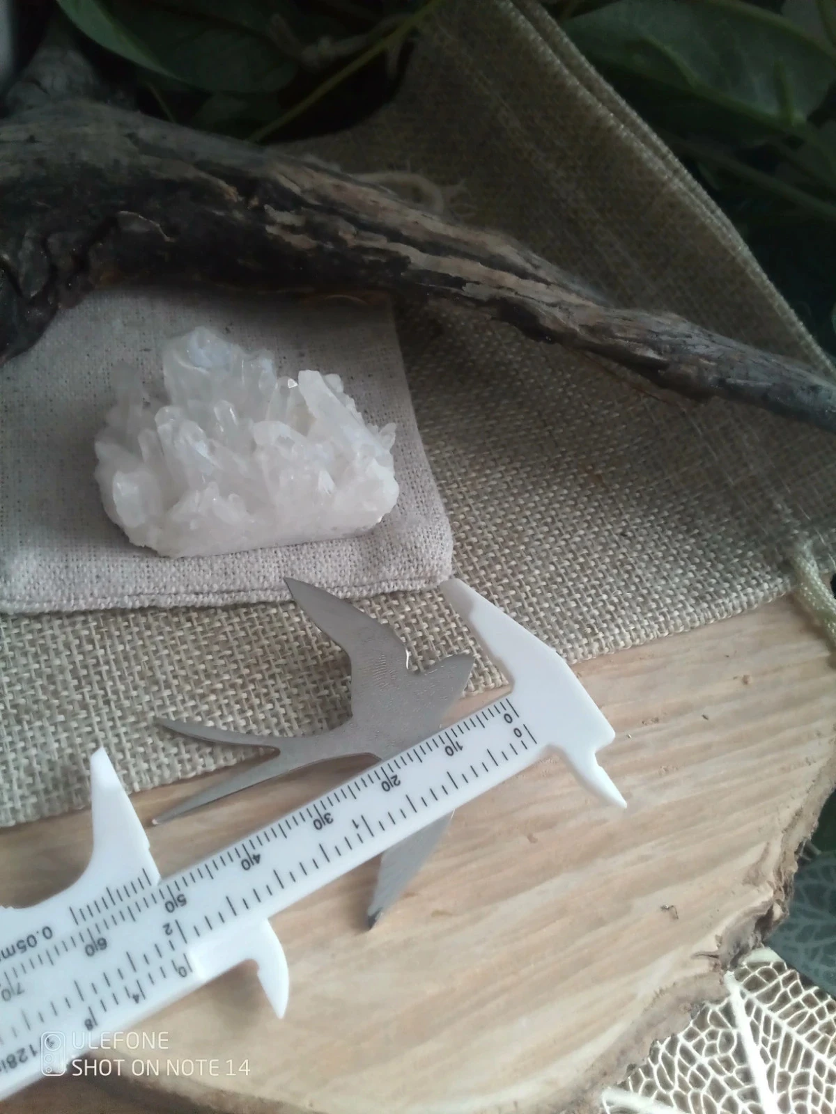 Broche hirondelle argentée – photo 3